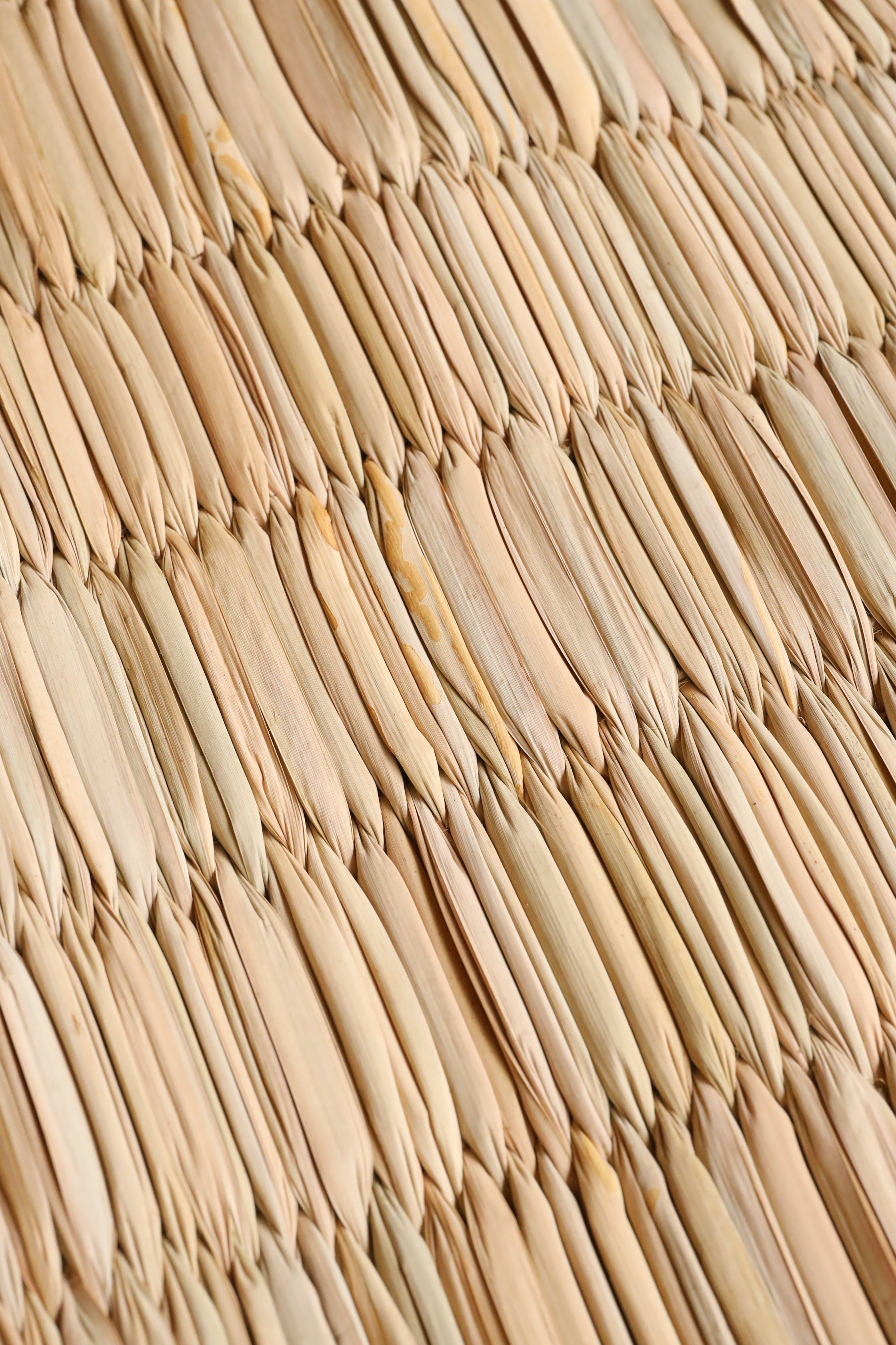TRM-6NL] Gundri グンドリ 水草マット Lsize 90 × 210cm. | mrak